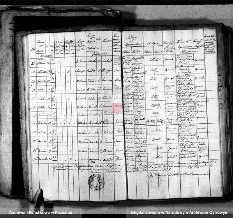 image.from.unit.number "Liber baptisatorum, copulatorum, mortuorum"