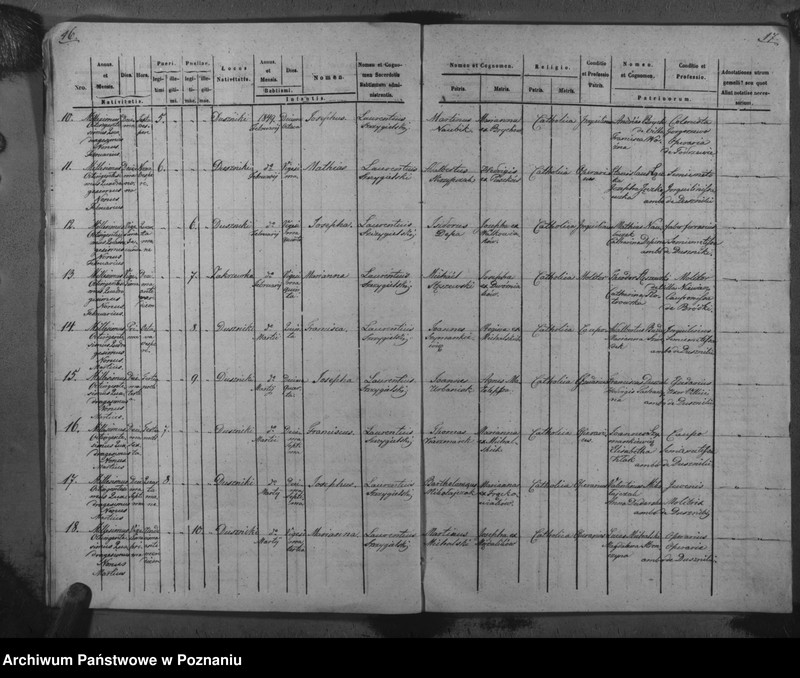Obraz 12 z jednostki "Duplicat baptisatorum, copulatorum, mortuorum"
