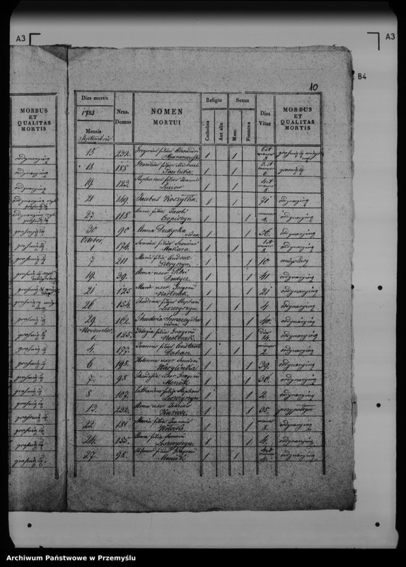 Obraz 15 z jednostki "[Kopie ksiąg metrykalnych parafii Werchrata z filią Prusie (dekanat Rawa Ruska)]"