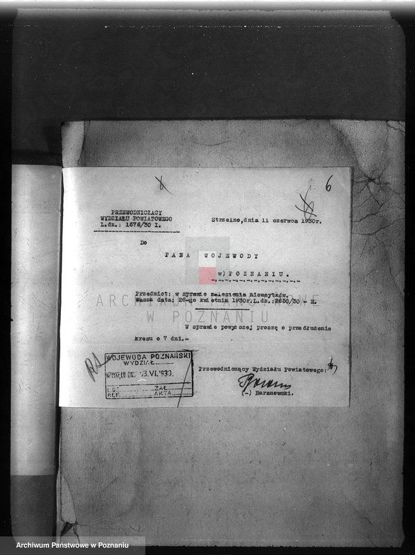 Obraz 10 z jednostki "Zalesienie nieużytków w powiecie mogileńskim"