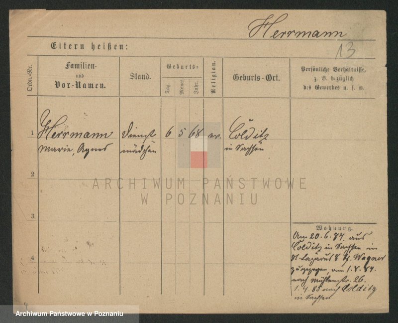 Obraz 13 z jednostki "Herman - Hermyła"