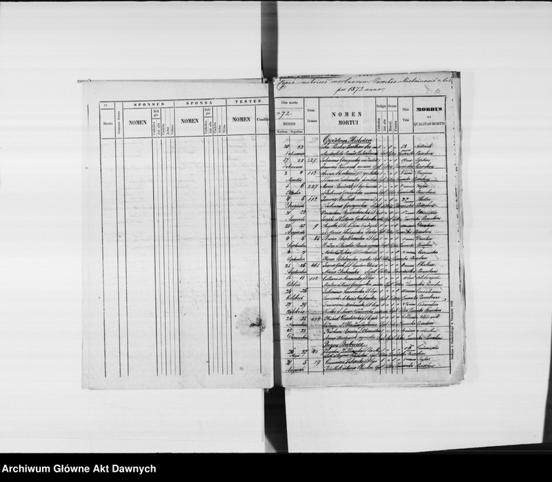 image.from.unit.number "Parafia: Mielnica. Dekanat: Borszczów. Księga metrykalna urodzeń 1872-1903, ślubów 1872-1874, 1876-1894, 1896-1903, zgonów 1872-1874, 1876-1886, 1888-1891, 1893-1900, 1902-1903 dla miasta Mielnica i miejscowości: Babińce*, Boryszkowce*, Bielowce*, Wygoda*, Chudykowce, Dźwiniaczka*, Dźwinogród*, Wołkowce*, Trubczyn*, Iwanie Puste*, Kudryńce*, Łatkowce*, Michałówka*, Olchowiec, Uście Biskupie, Horoszowa, Zawale*, Okopy*, Kozaczówka*, Zielona, Paniowce*."