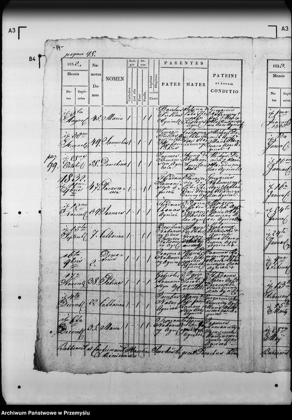 Obraz 18 z jednostki "[Kopie ksiąg metrykalnych parafii Krukienice z filią Ostrożec (dekanat Mościska)]"