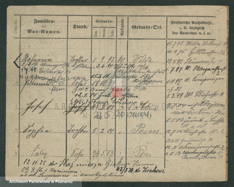 Obraz 7 z jednostki "Pfeifke - Pfleging"