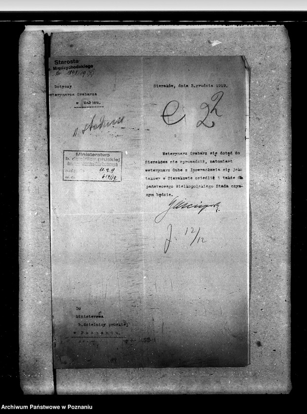 Obraz 6 z jednostki "Sprawy stadnin Zarząd Stadnin Sieraków"