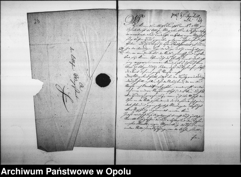 Obraz 19 z jednostki "Acta specialia des Magistrats zu Oppeln betreffend die von der verwittweten Landräthin v[on] Sydow verlangte Wegschaffung des Töpfer Ofens, des Töpfers Donath in der Groschowitzer Vorstadt Vol. I de anno 1818"