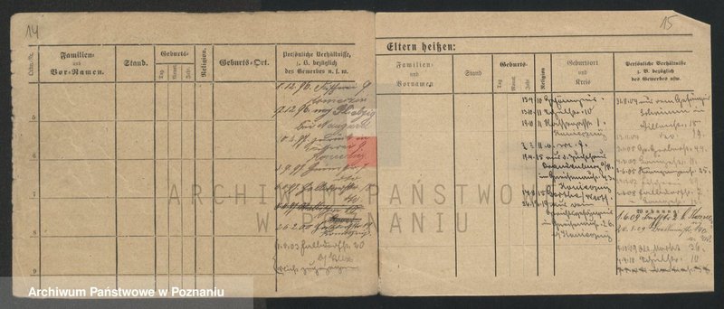 Obraz 16 z jednostki "Chudysiewicz - Chyczewski"