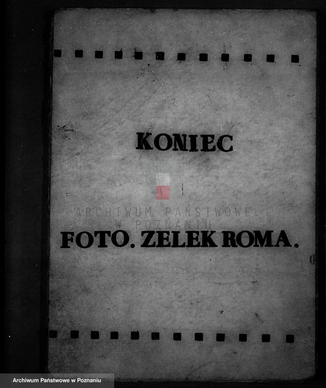 Obraz 15 z jednostki "Krzywekolano powiat mogileński /las Juliuszy Rodenwalda/"