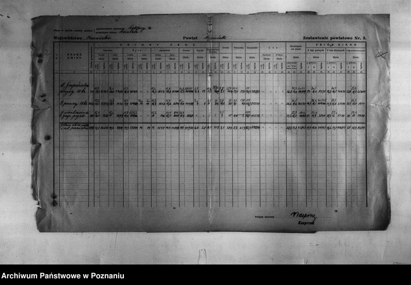 Obraz 4 z jednostki "/Statystyka produkcji rolnej - zestawienie zbiorów z 1930 r. z terenu powiatu kępińskiego/"