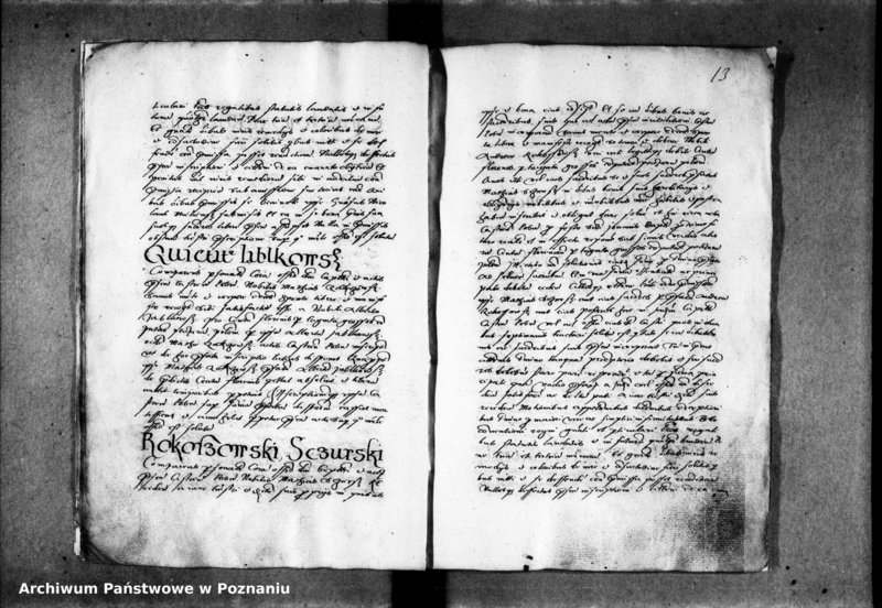 Obraz 18 z jednostki "Inscriptiones, relationes [inducta]"