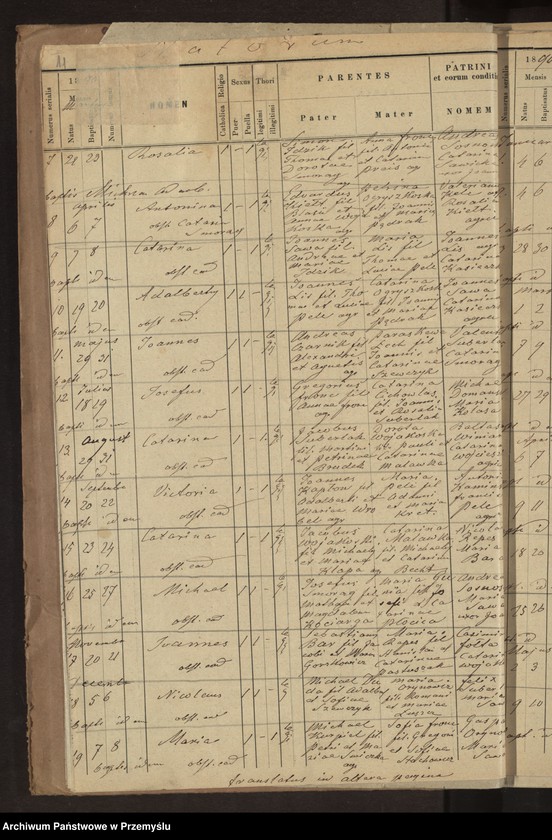 image.from.unit.number "[Wyciągi z ksiąg metrykalnych urodzeń, zapowiedzi, małżeństw i zgonów dla miejscowości Chłopice, Jankowice, Morawsko za lata 1890-1900]"