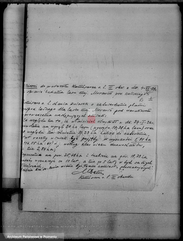 Obraz 10 z jednostki "Wyłączenie obszarów leśnych majątku Morawin powiat kaliski"