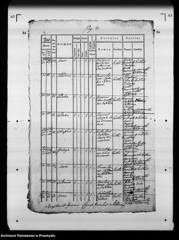 Obraz 8 z jednostki "[Kopie ksiąg metrykalnych parafii Kołodruby (dekanat Komarno)]"