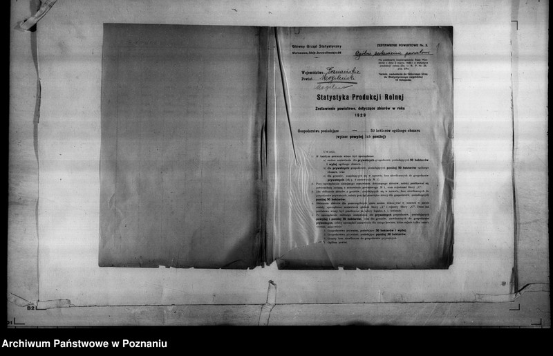 Obraz 3 z jednostki "/Statystyka produkcji rolnej - zestawienie powiatowe - Mogilno/"