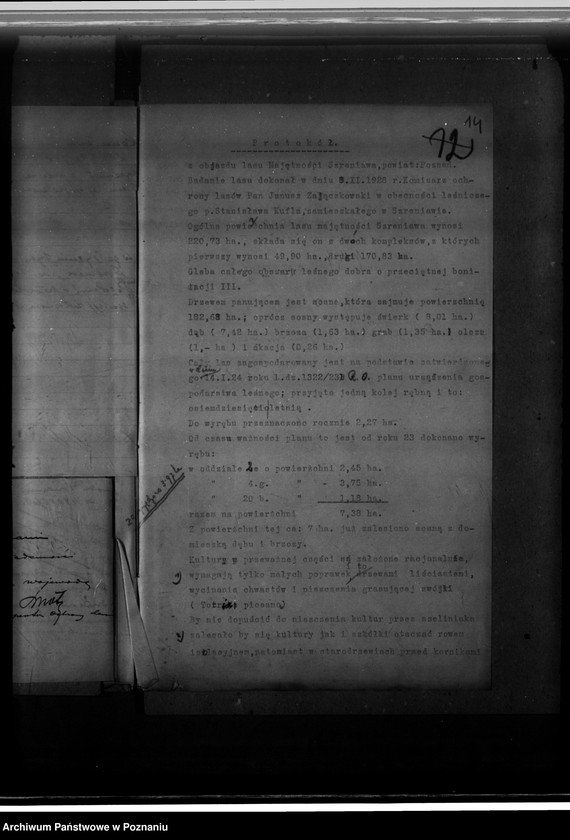 Obraz 19 z jednostki "Nadzór nad gospodarką w lasach majątku Szreniawa powiat poznański"