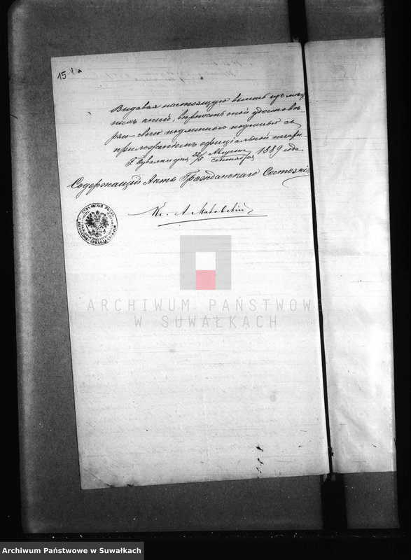 Obraz 19 z jednostki "Dokumenty k aktam brakosočetanîi Jelenievskago Prichoda c 1889 goda."