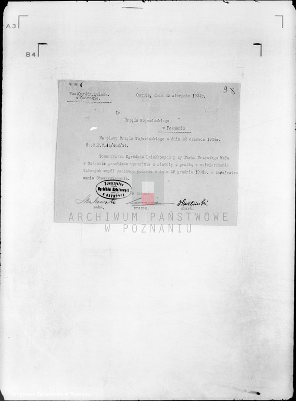 Obraz 14 z jednostki "Towarzystwo Ogródków Działkowych przy Parku 3 Maja w Ostrowie Wielkopolskim"