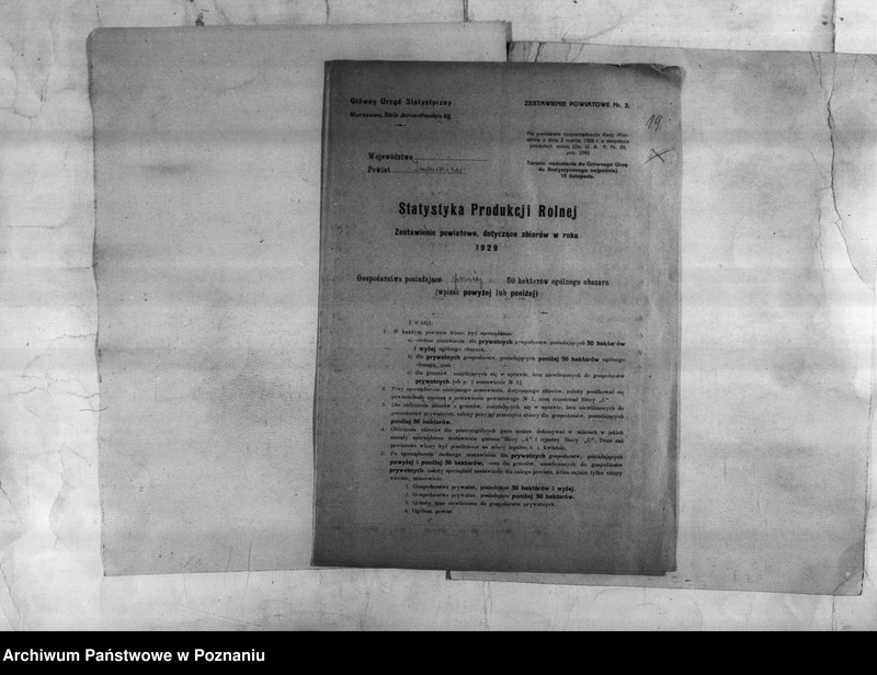 Obraz 20 z jednostki "/Statystyka produkcji rolnej - zestawienie powiatowe - Inowrocław/"