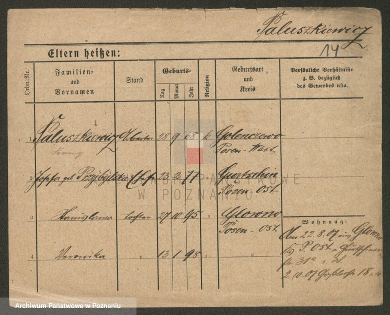 Obraz 14 z jednostki "Paluszkiewicz Pankow"