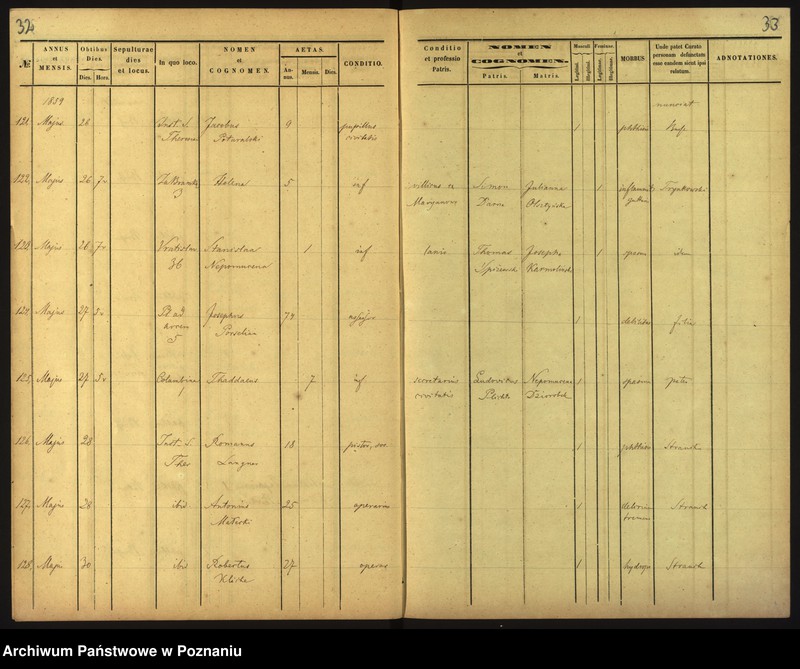Obraz 19 z jednostki "Księga zgonów"