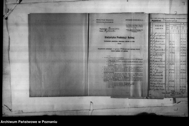 Obraz 15 z jednostki "/Statystyka produkcji rolnej - zestawienie powiatowe - Mogilno/"