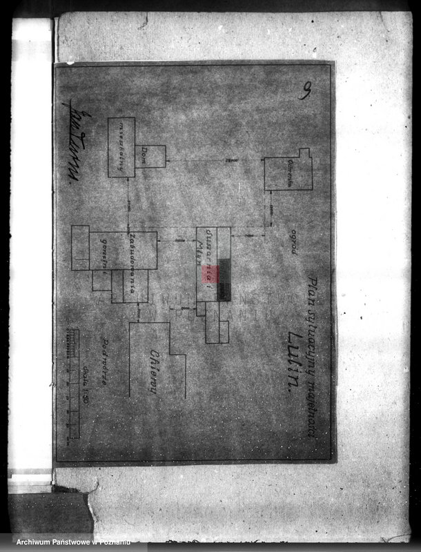 Obraz 13 z jednostki "Młyn parowy w Lulinie, pow. obornicki"