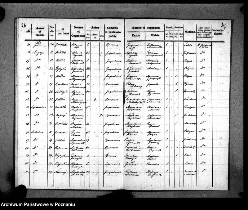image.from.unit.number "Duplikaty urodzeń, małżeństw i zmarłych"