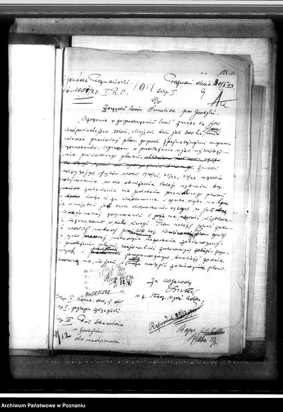 Obraz 13 z jednostki "Majętność leśna Smolice w powiecie gostyńskim"