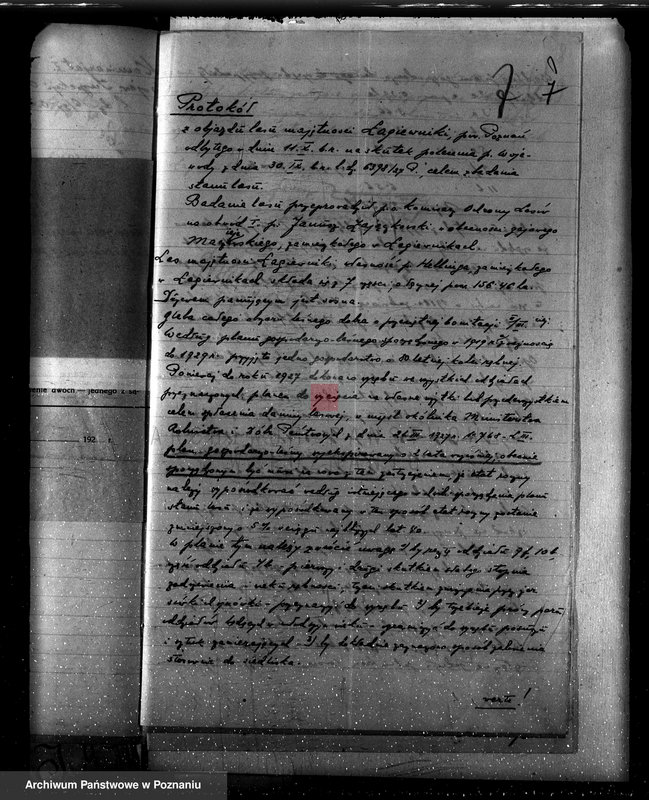 Obraz 11 z jednostki "Nadzór nad gospodarką w lasach majętności Łagiewniki"