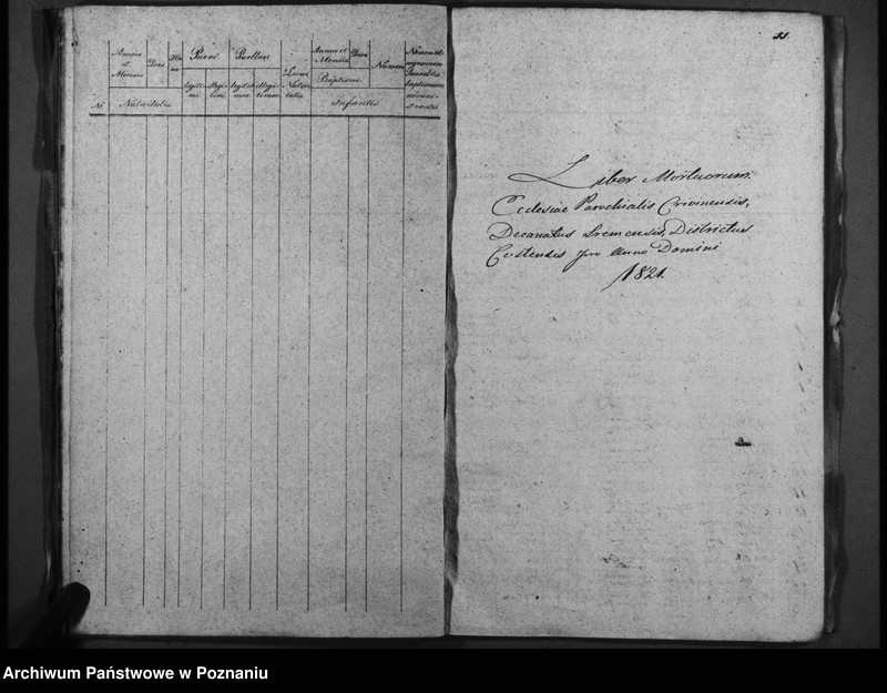 Obraz 11 z jednostki "Duplicatum baptisatorum, copulatorum, mortuorum"