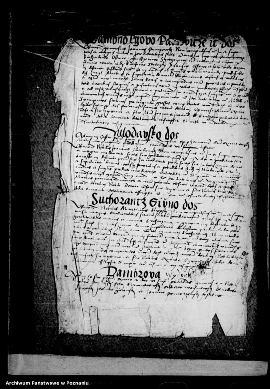 Obraz 6 z jednostki "Resignationes [inducta]"