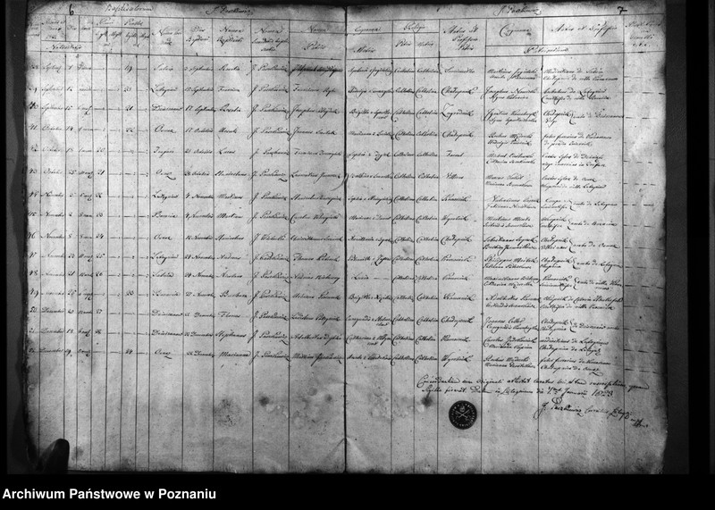 Obraz 6 z jednostki "Duplicatum natorum, copulatorum, mortuorum"