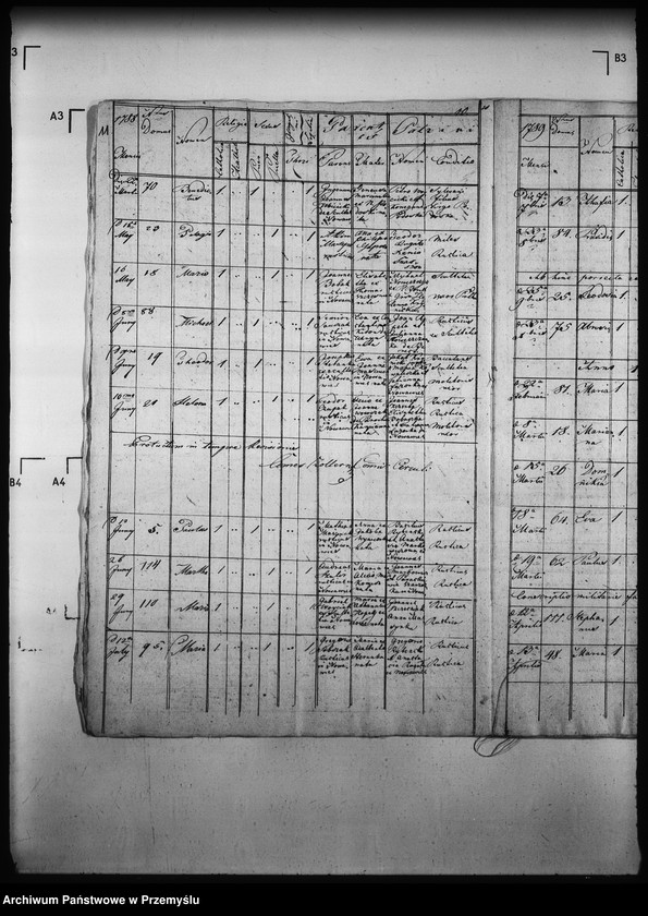 Obraz 15 z jednostki "[Kopie ksiąg metrykalnych parafii Nowa Wieś z filią Łosie (dekanat Muszyna)]"