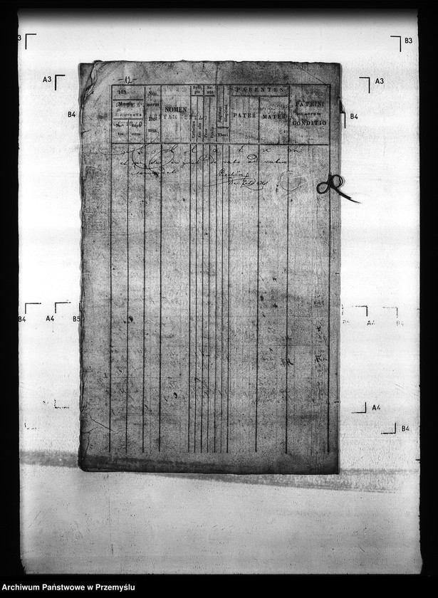 Obraz 17 z jednostki "[Kopie ksiąg metrykalnych parafii Szandrowiec (dekanat Turka)]"