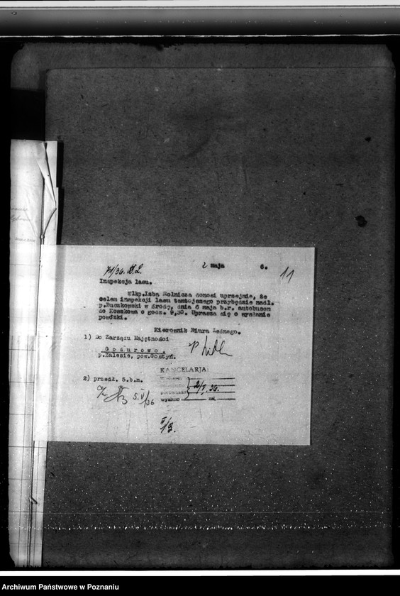 Obraz 15 z jednostki "Leśnictwo w Godurowie powiat gostyński"