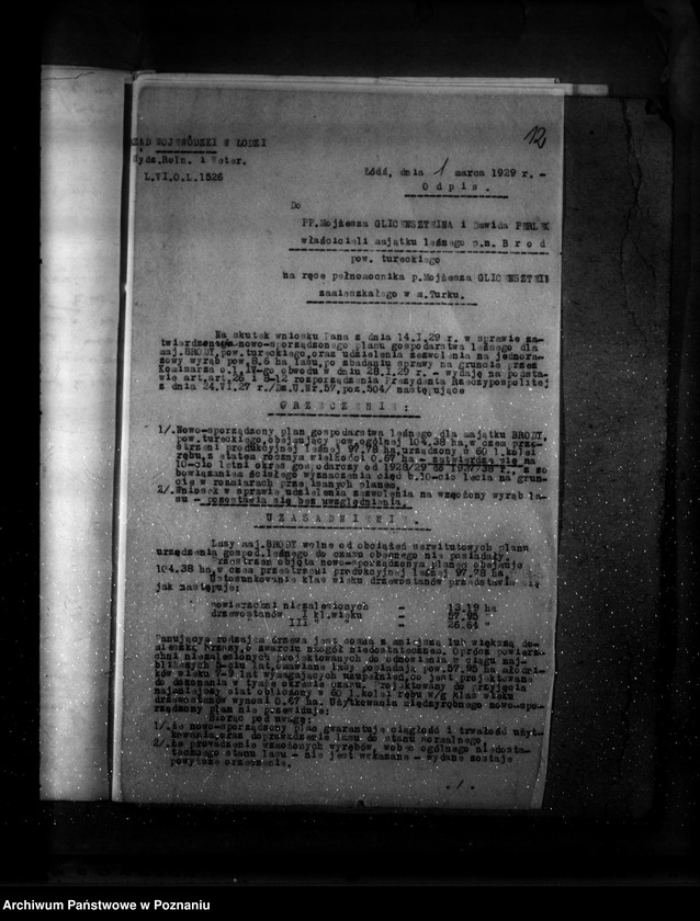 Obraz 16 z jednostki "Zatwierdzenie planu gospodarstwa leśnego dla majątku Brody powiatu tureckiego"