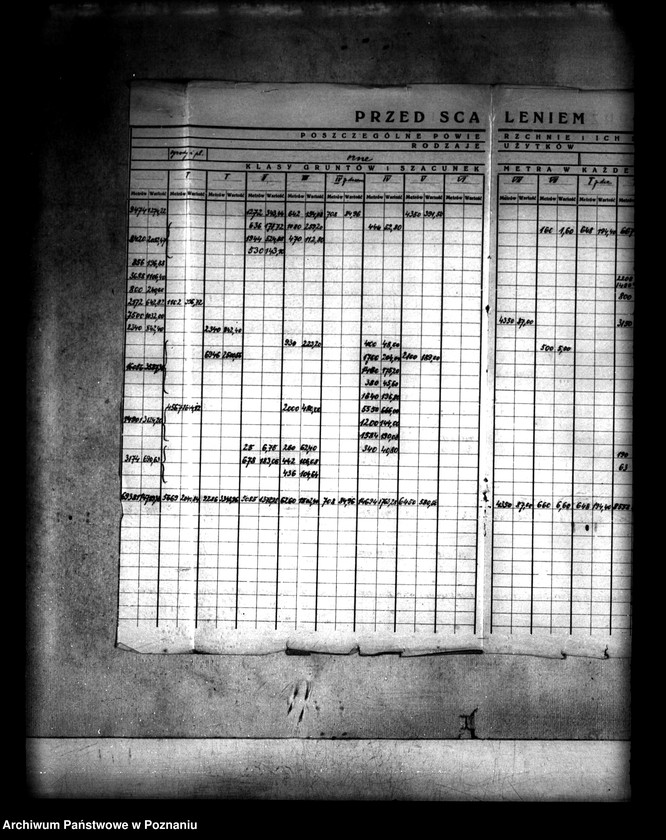 Obraz 12 z jednostki "/Wykaz szacunku starych i nowych dróg i rowów we wsi Morzysław powiatu konińskiego/"