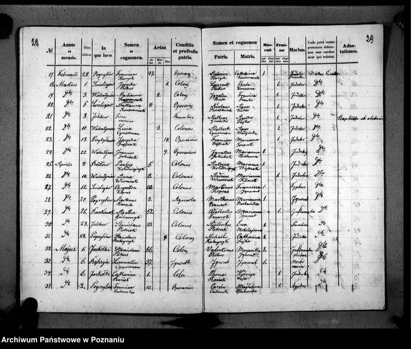 image.from.unit.number "Duplikat urodzonych, zaślubionych, zmarłych"