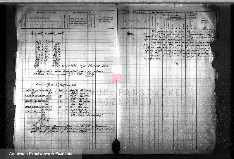 image.from.unit.number "Plan urządzenia gospodarstwa leśnego dla lasu Anny Far w Piotrowie powiat szamotulski 1930-1940"