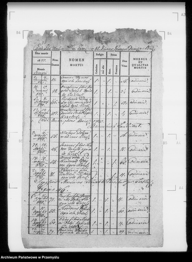 Obraz 18 z jednostki "[Kopie ksiąg metrykalnych parafii Żużel z filią Cebłów (dekanat Bełz)]"