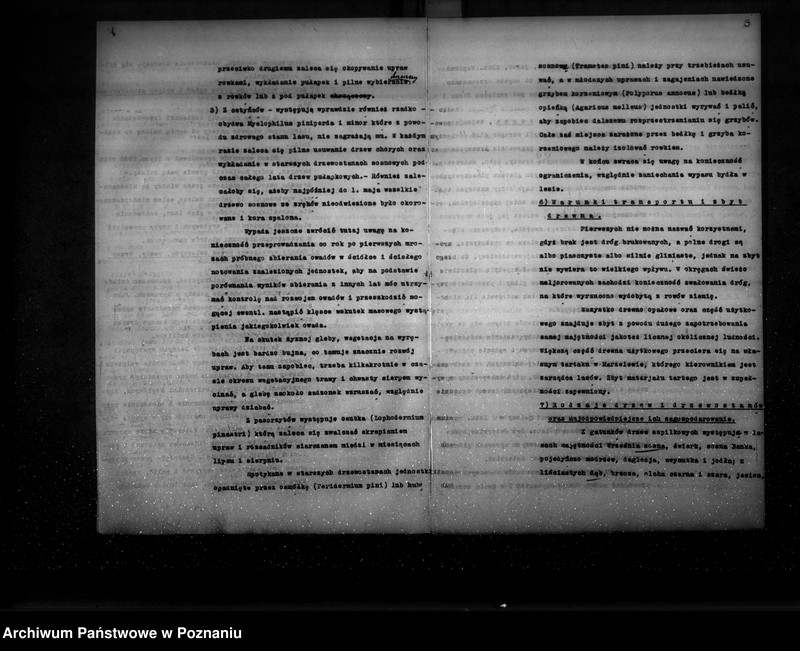 Obraz 9 z jednostki "Ogólny opis lasu majętności Września (plan cięć i plan urządzenia gospodarstwa leśnego)"