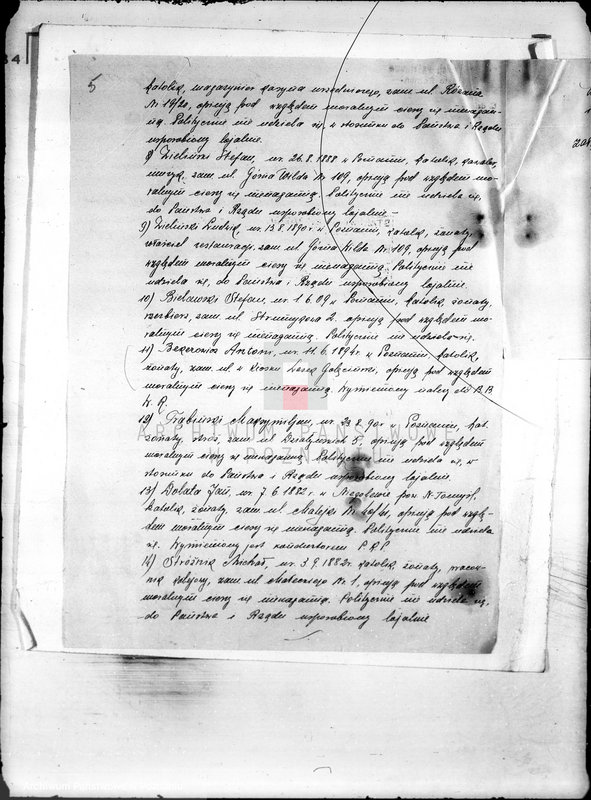 Obraz 10 z jednostki "/Towarzystwo Ornitologiczne w Poznaniu/"