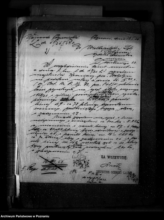 Obraz 6 z jednostki "Majętność leśna Wroniawy powiat wolsztyński"