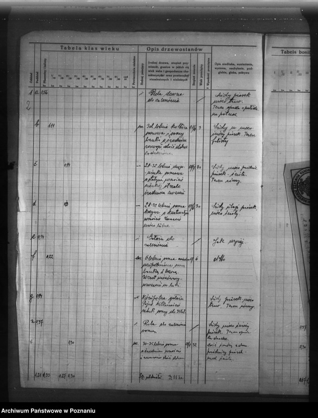 Obraz 6 z jednostki "Program urządzenia gospodarstwa leśnego dla lasu majętności Marcina Rozmiarka w Daszewicach powiat poznański"