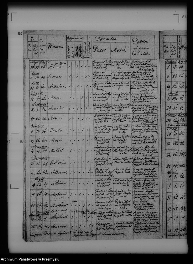 image.from.unit.number "[Kopie ksiąg metrykalnych parafii Seńkowa Wola (dekanat Buków)]"