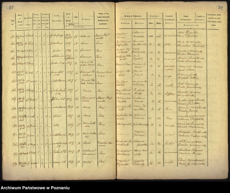 Obraz 14 z jednostki "Księga urodzin"