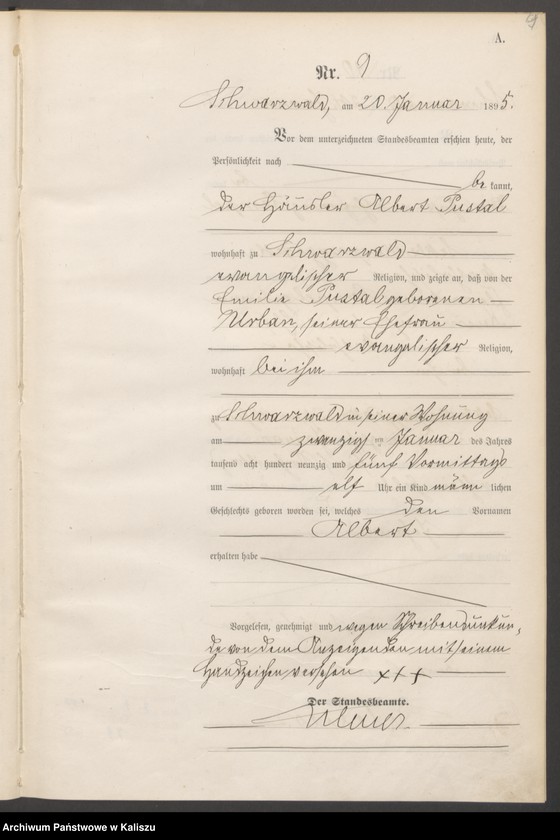 Obraz 12 z jednostki "[Księga urodzeń]"