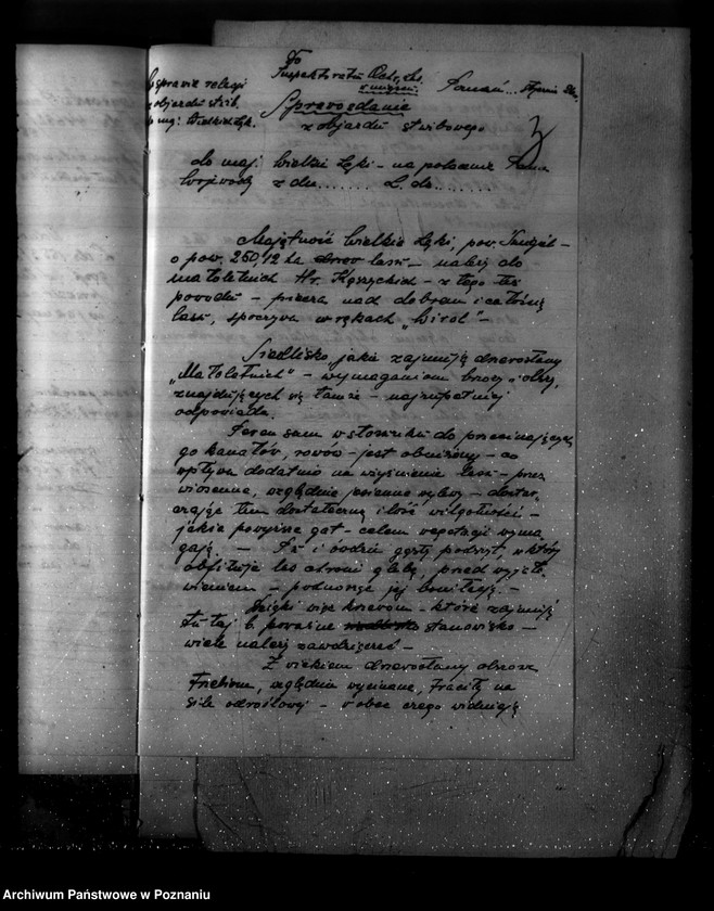 Obraz 7 z jednostki "Majętność /leśna/ Wielkie Łęki powiat kościański"