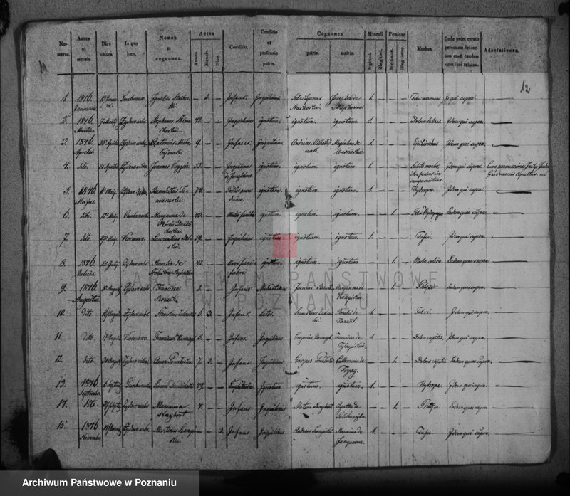 Obraz 10 z jednostki "Duplikat baptisatorum, copulatorum, mortuorum"