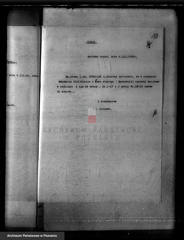 Obraz 14 z jednostki "Majętność Borówko Stare /nadzór nad gospodarką leśną/"